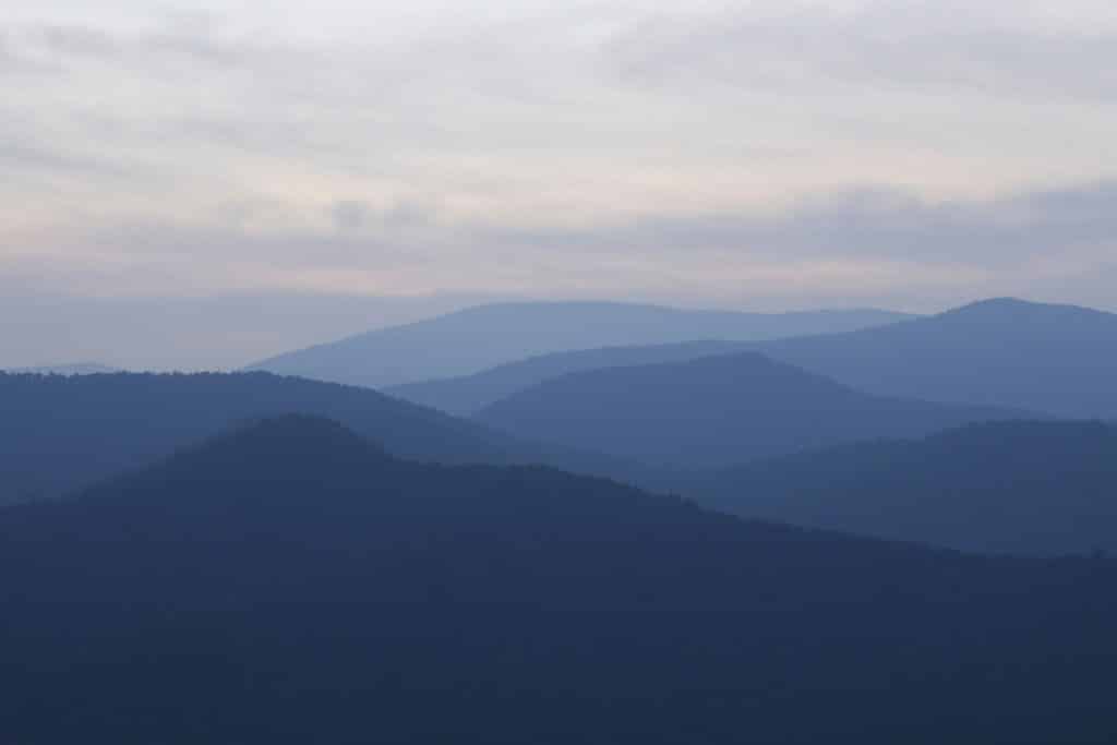 Discover Popular Southern U.S. Getaways With Tripps Now 4