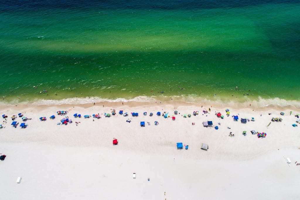 Discover Popular Southern U.S. Getaways With Tripps Now 2