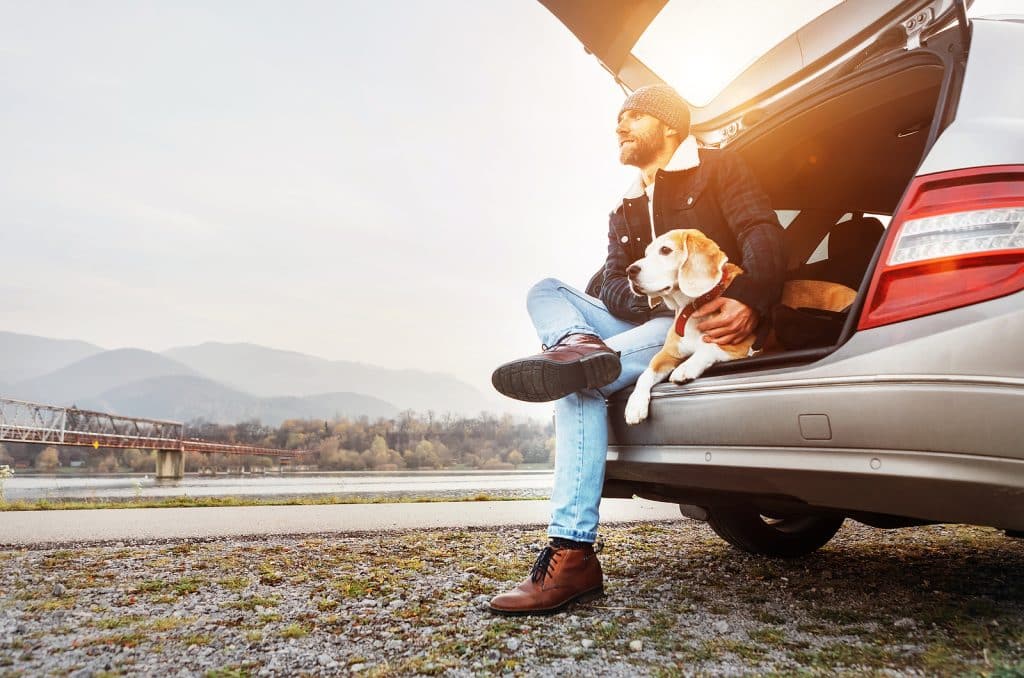 Tripps Now Reveals Top Pet-Friendly Vacation Destinations